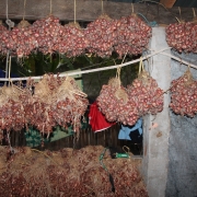 Onion harvest drying