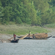 Fishing in the Sundarbans NWHS requires a license. 