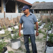 Drip irrigated school vegetable garden