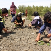 [Nakorn Srithammarat | SDF] Large Project Activity: Mangrove Plantation