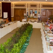 [Maldives] The RSC-8 Meeting