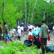 S4S and community group clean and restore the RAMSAR mangrove site with hotel staff 