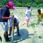  RCEAT hosted mangrove planting in the community 