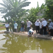MFF monitoring and evaluation team checking the water quality of shrimp pond