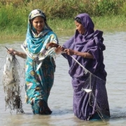 Women in the Sunderbans demonstrating that being involved in aquaculture business - usually dominated by men - is possible. 