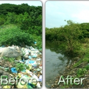Abandoned shrimp ponds before and after waste collection