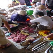 Butchered turtle in a local market in Phu Quoc Island, Viet Nam 