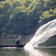 Cast net fishing in Ashtamudi Lake