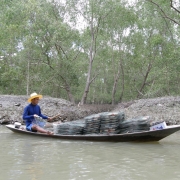 Conserving mangroves in Ao Baan Don 
