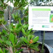 Sign showcasing the Marriott MFF partnership 