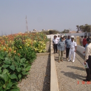 Reed bed System at Manora Island, Karachi