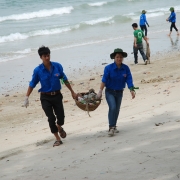 Volunteers collecting rubbishes on the beach, Co To island