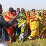 Women from SHGs learn about mangrove restoration
