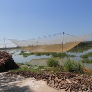 By the river, Hoi An 