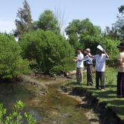 Discussion on pilot sustainable aquaculture model linking with mangrove conservation