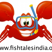 Fishtales blog