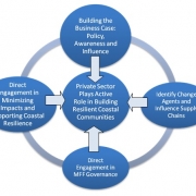Entry Points for Private Sector Engagement in MFF
