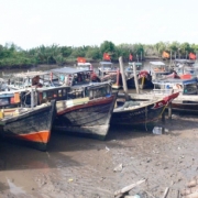 "One day stop from fishing" - slogan called by Head of Ben Tre Fishery Association on the occassion of traditional fishing day April, 1st in Thanh Phong, Ben Tre Province 