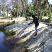 Lagoon Clean-up Maldives