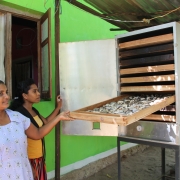 MFF project beneficiaries show off the new fish dehydrator machine