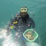 A local fisherman diver prepares to transplant corals in Bai Huong. 