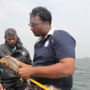 Sampling sea cucumber diversity