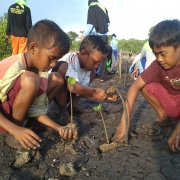 Children taking part in mangrove planting