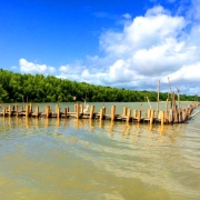The semipermeable structures as sediment trap