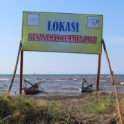 Casuarina rehabilitation site