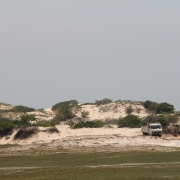 Manalkadu sand dunes