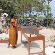 Hygienic, low-salt dried fish production on Delft Island using elevated benches 