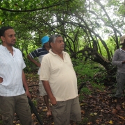 Assessing the diversity of mangroves in Pottuvil, Kudakali, Shastravel and Ulla lagoons. 