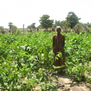 home gardening in Batticaloa 