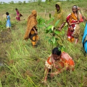 Women from SHGs take part in the plantation drive