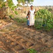 home garden in Pottuvil