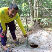 Mangrove Otter's shelter