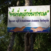 Otter conservation in Thailand