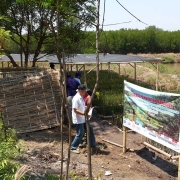 Mangrove nursery in Randutatah village, Probolinggo, East Java province