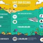 Save Our Oceans_Infographic