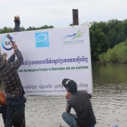 Installation of mangrove protection signboards