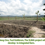 Site of a new integrated farming system to improve sustainable mangrove management in Tuol Kuoki