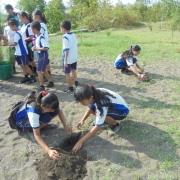 Environmental education for elementary students