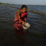 Jenitha displays one of her catches