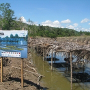 Floating cages for rearing mud-crab