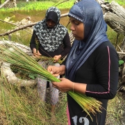 Leena collecting reeds from the nearby marshland.