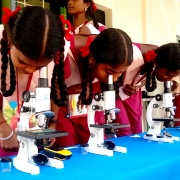 Microscopic fun - learning about marine plankton
