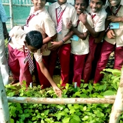 Learning about mangrove plantation techniques and nursery operations