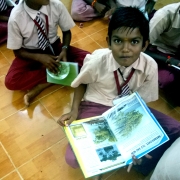 Reading about mangroves