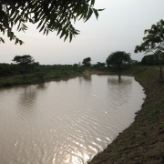 Palugaswewa tank