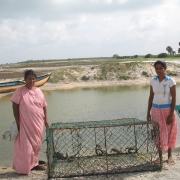 Crab cages Puttalam 